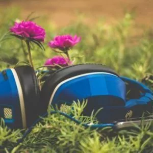Headphones