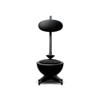 Swan Speakers - MS-2 - All-in-one Wireless 2.1
